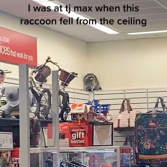  ....onnei   'recent posts' 