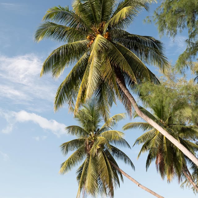  .....to.go   'recent posts' 