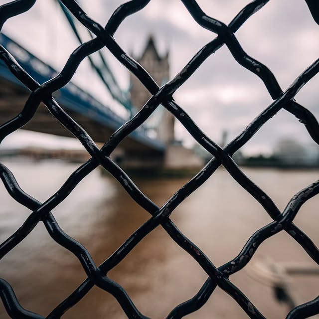  ......photos   'recent posts' 