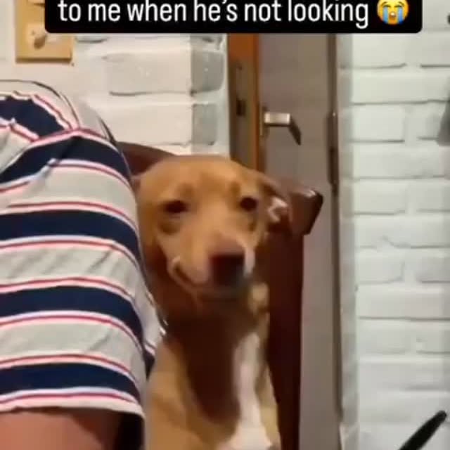  .......festory   'recent posts' 