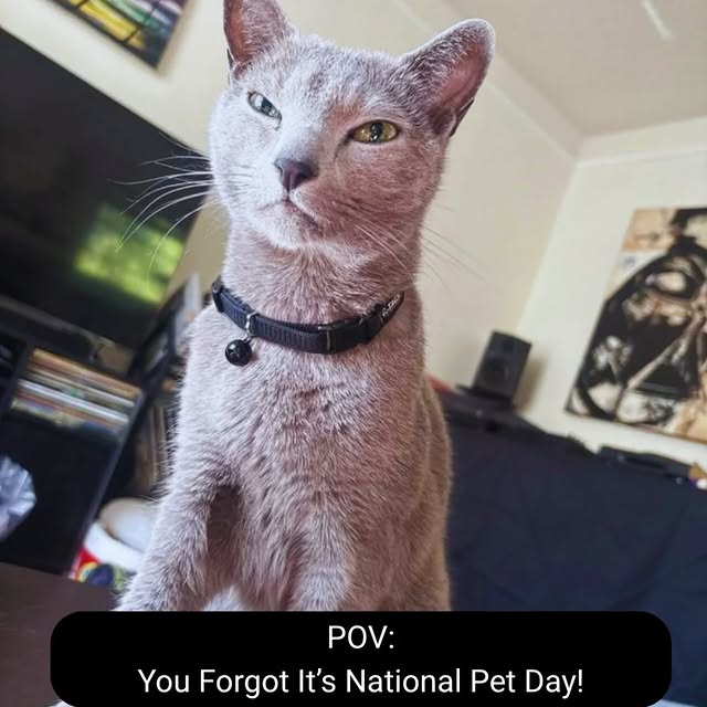  ......n_boris   'recent posts' 