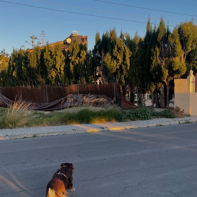  .....og2020   'recent posts' 