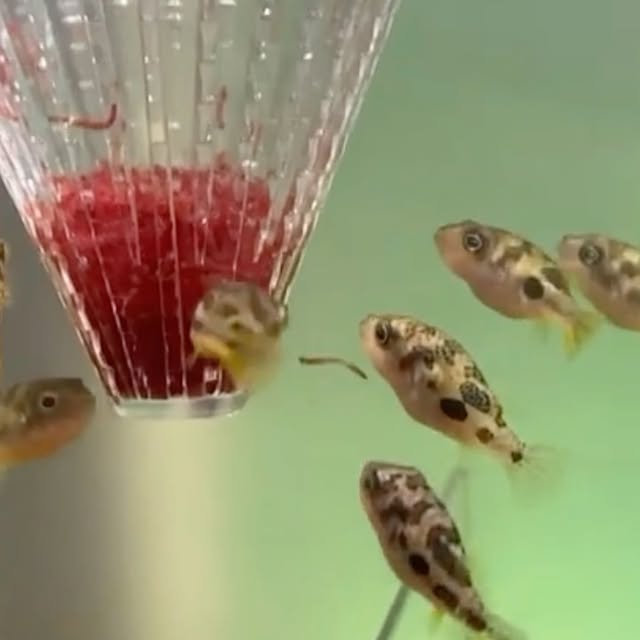  .....ation   'recent posts' 