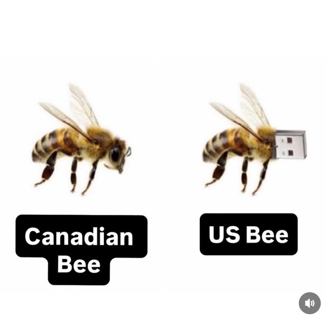  .....memes   'recent posts' 