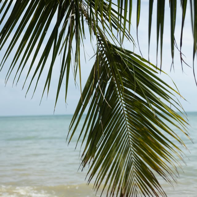  .....to.go   'recent posts' 