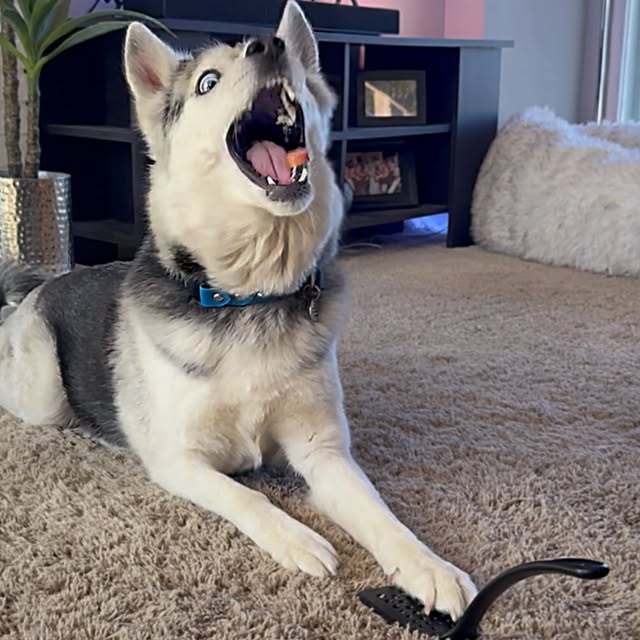  .....eteers   'recent posts' 