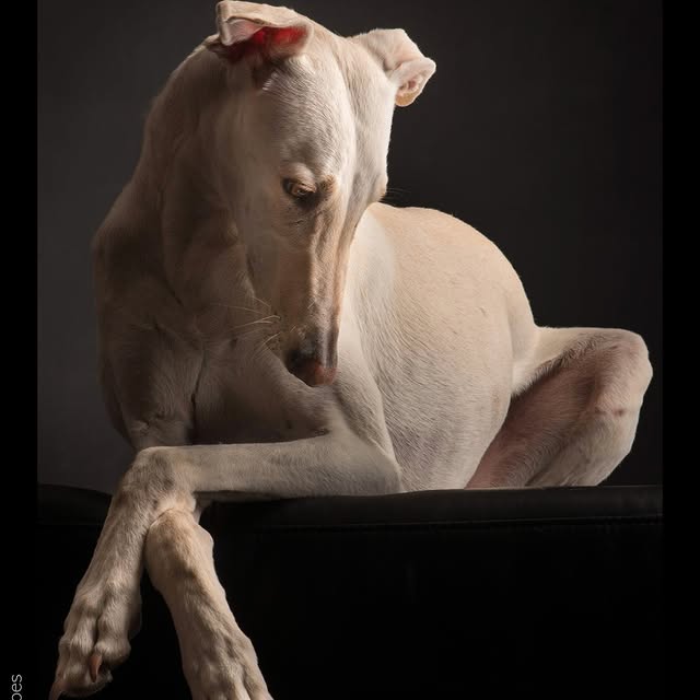  ..........hotography   'recent posts' 