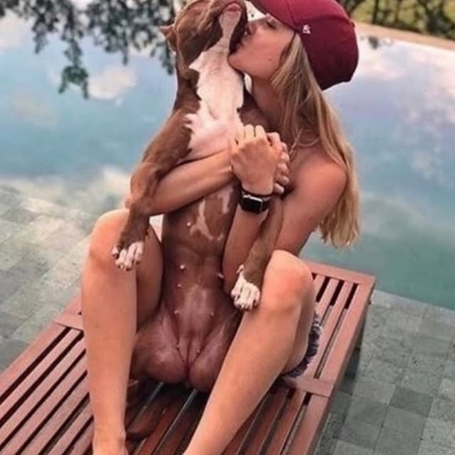  .....memes   'recent posts' 