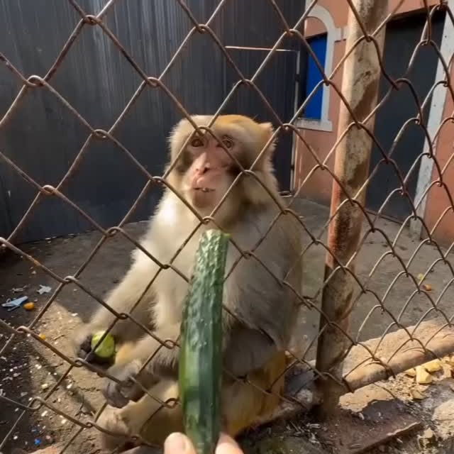  .......ureworld   'recent posts' 