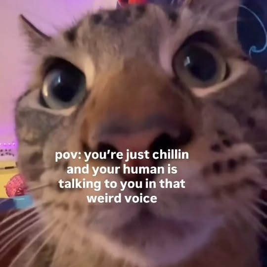  ......nd.kits   'recent posts' 