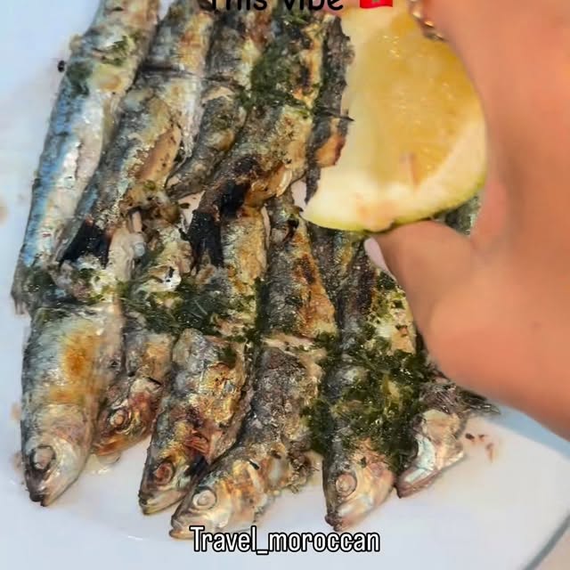  .......moroccan   'recent posts' 