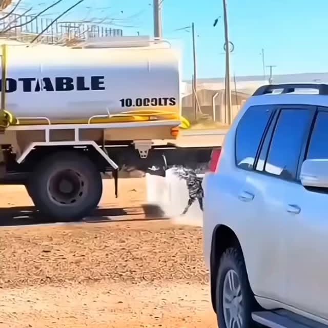  .......festory   'recent posts' 