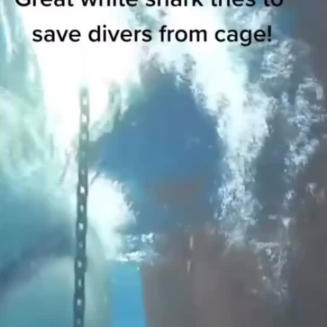  .........arkattacks   'recent posts' 