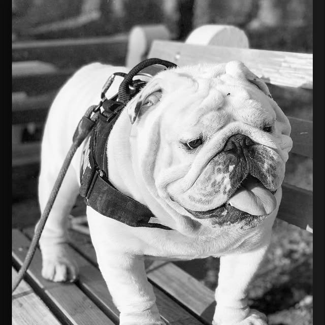  ......rwhite   'recent posts' 