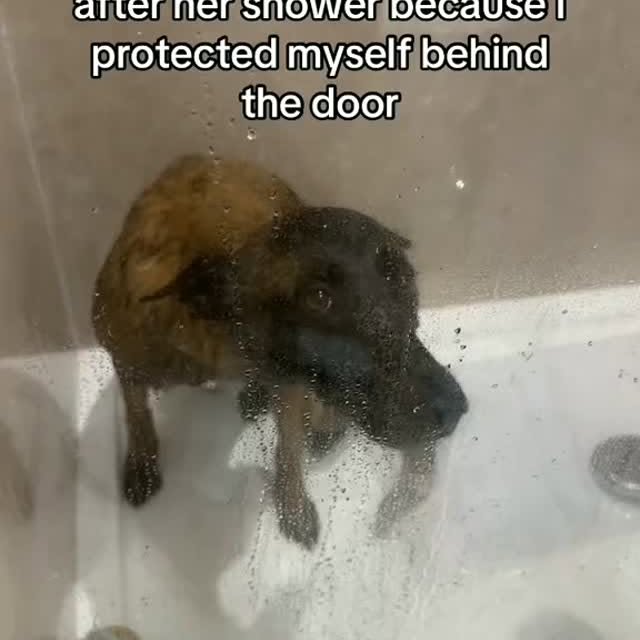  ....ofk9   'recent posts' 