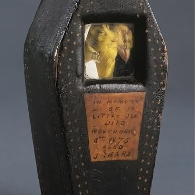  ....eird   'recent posts' 