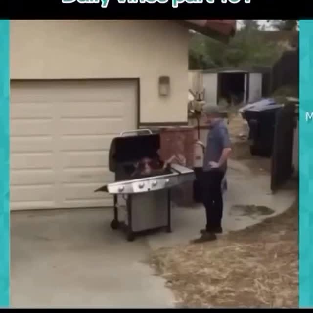  .......alvines   'recent posts' 