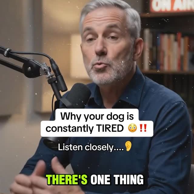  ..........n.retriever   'recent posts' 