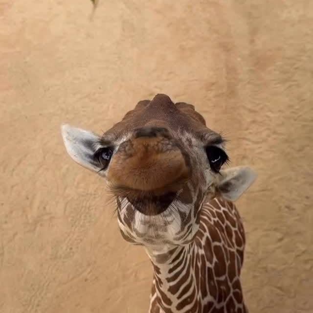  ........unlocked   'recent posts' 