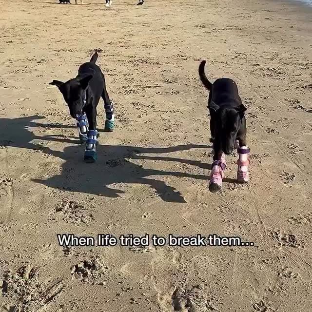  ........malsgram   'recent posts' 