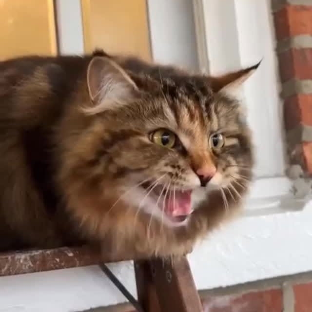  ......kekkek   'recent posts' 