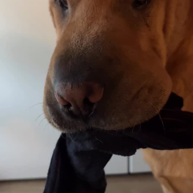  ......i.world   'recent posts' 