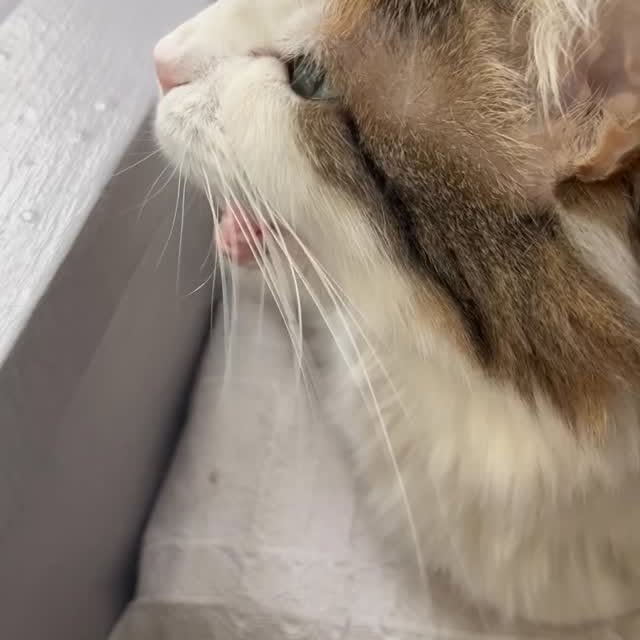  ......kekkek   'recent posts' 