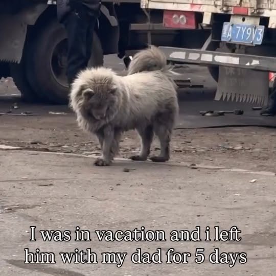  ........versgram   'recent posts' 