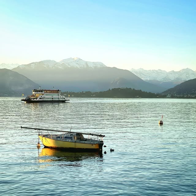  ......_viola   'recent posts' 