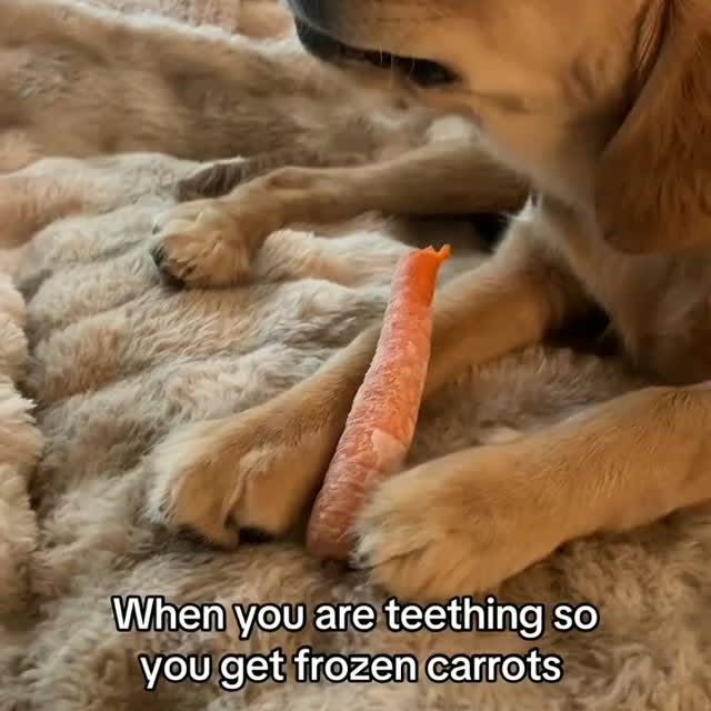  ....ofk9   'recent posts' 