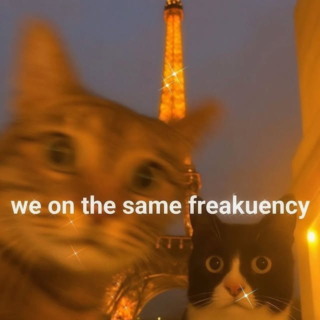  ....reams   'recent posts' 