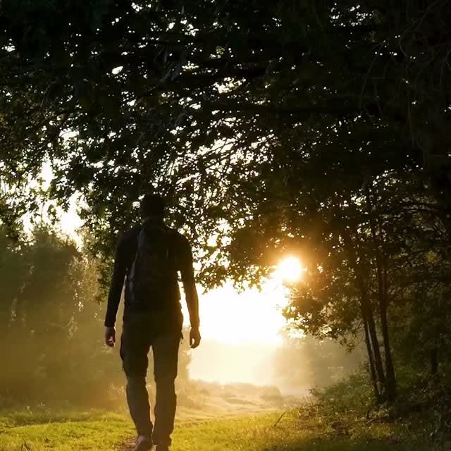  .......utevibes   'recent posts' 