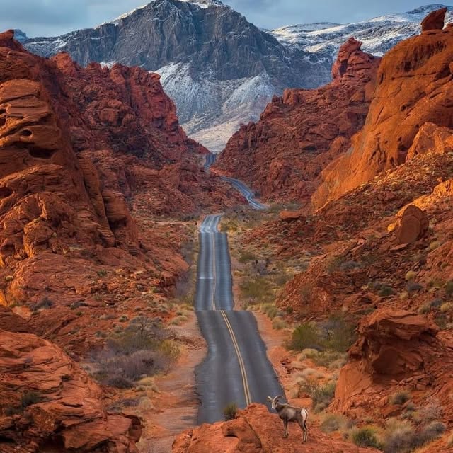  ........e.america   'recent posts' 