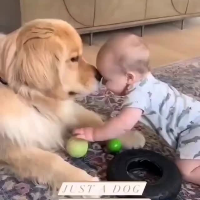  .......egoldens   'recent posts' 