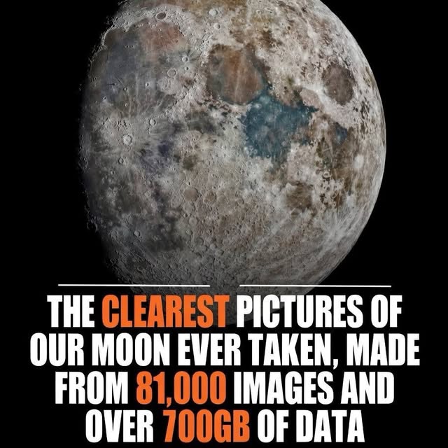  ......fervor   'recent posts' 