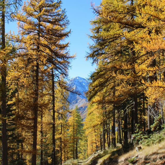  .........rancaises   'recent posts' 