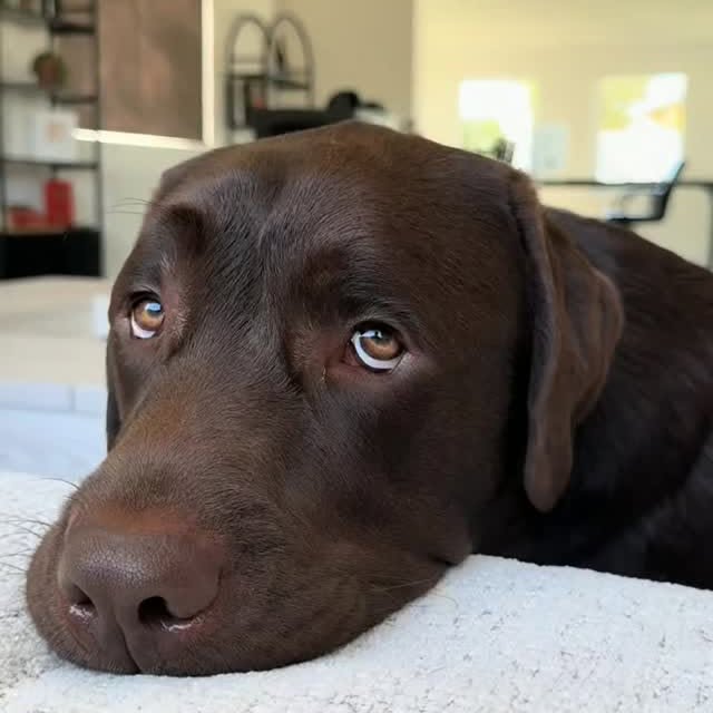  ....ofk9   'recent posts' 