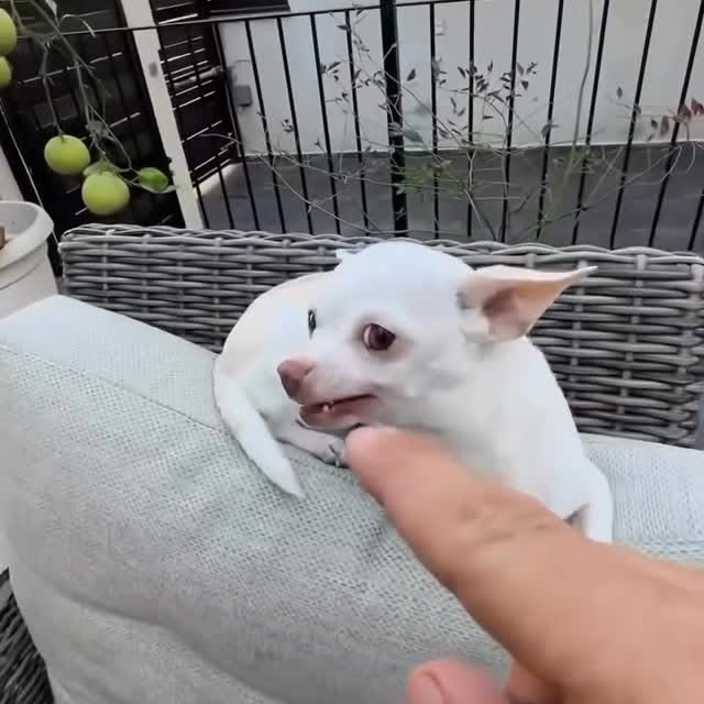  ......ogscute   'recent posts' 