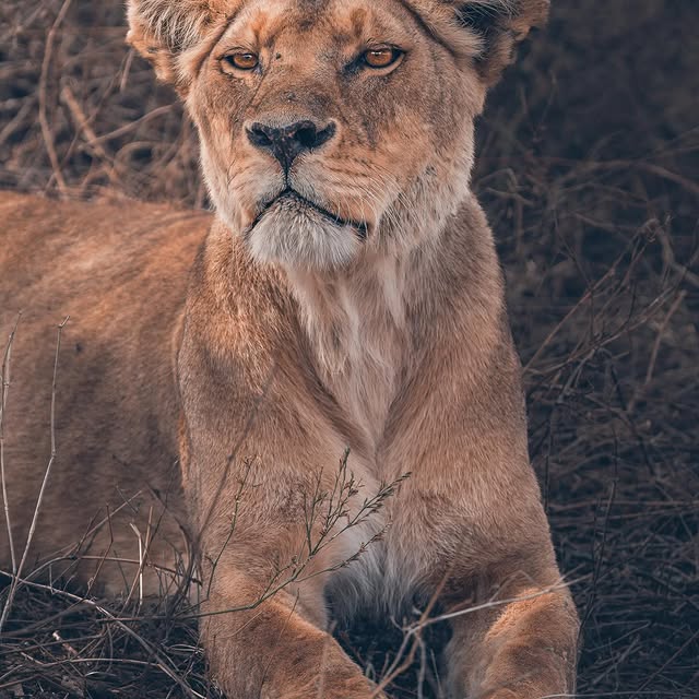  .........._sightings   'recent posts' 