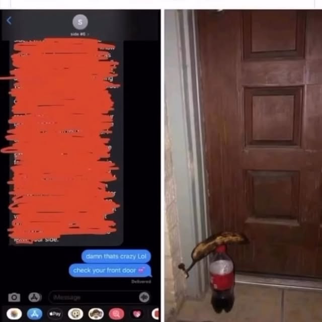  ....memes   'recent posts' 