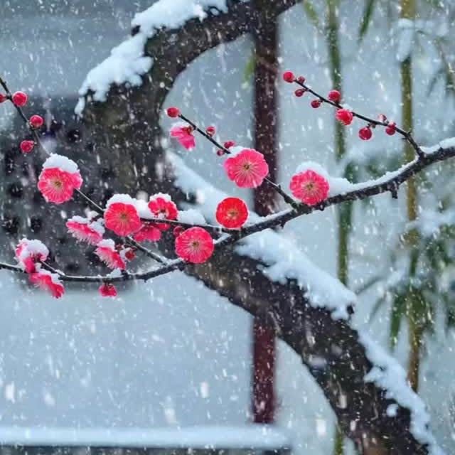  ......ureshub   'recent posts' 