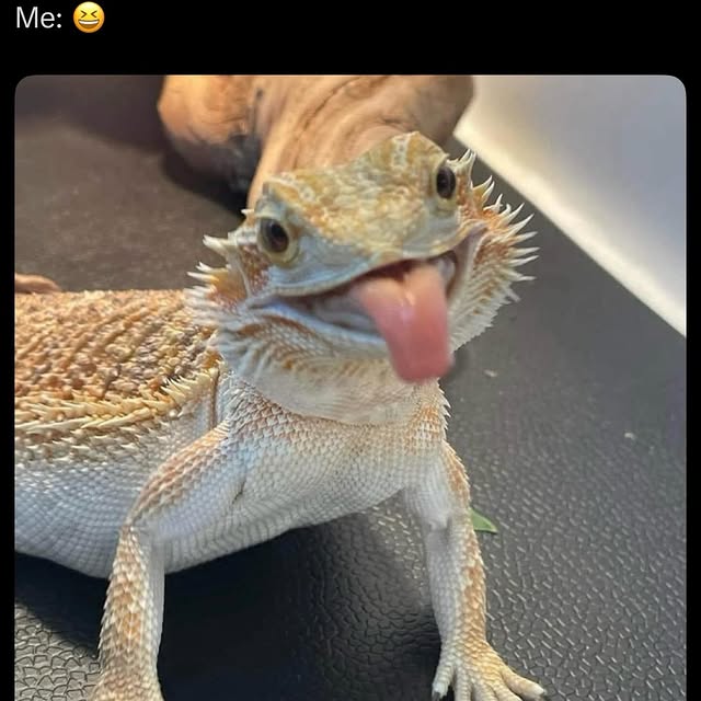  ........shipkink   'recent posts' 