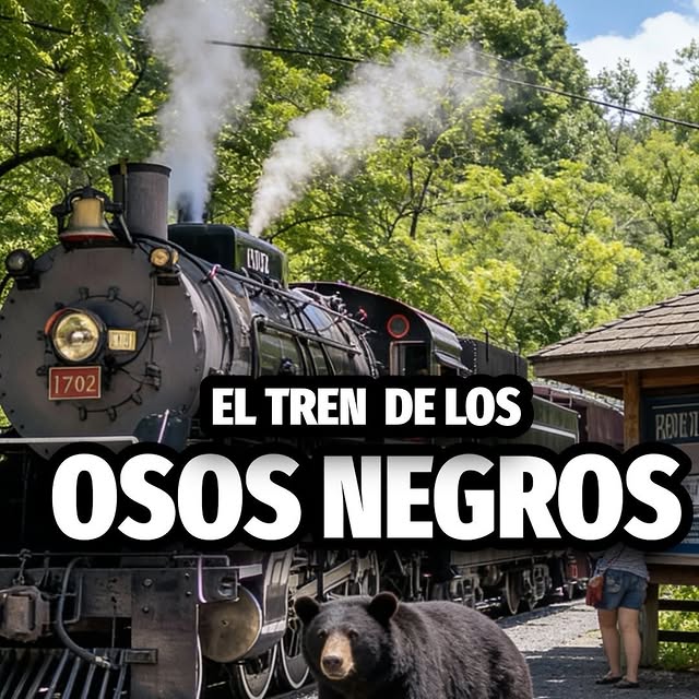  .......peligro   'recent posts' 