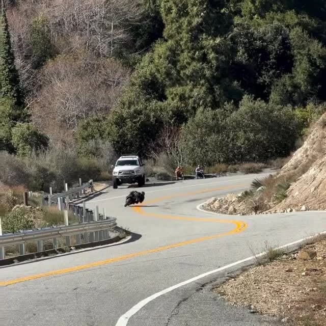  .....stube   'recent posts' 