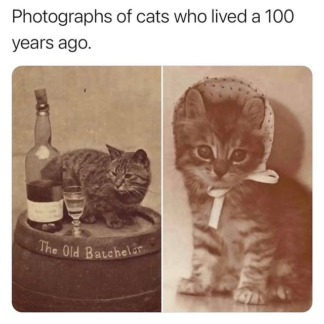  .......fcolors   'recent posts' 