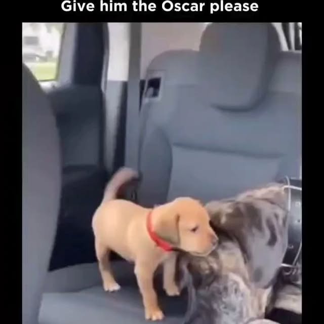  .....ibess   'recent posts' 