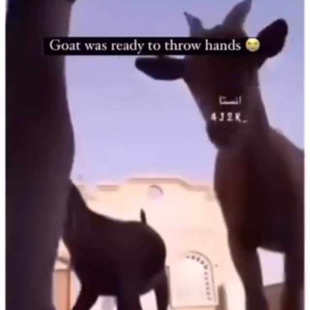  ......thaj   'recent posts' 