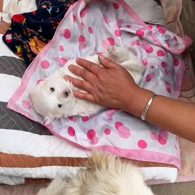  ....retie   'recent posts' 