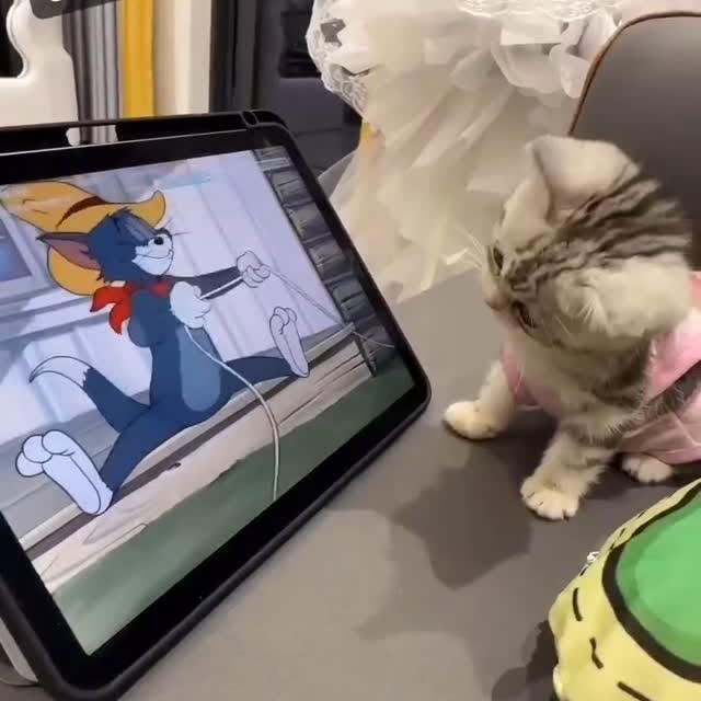  ......ingcat   'recent posts' 