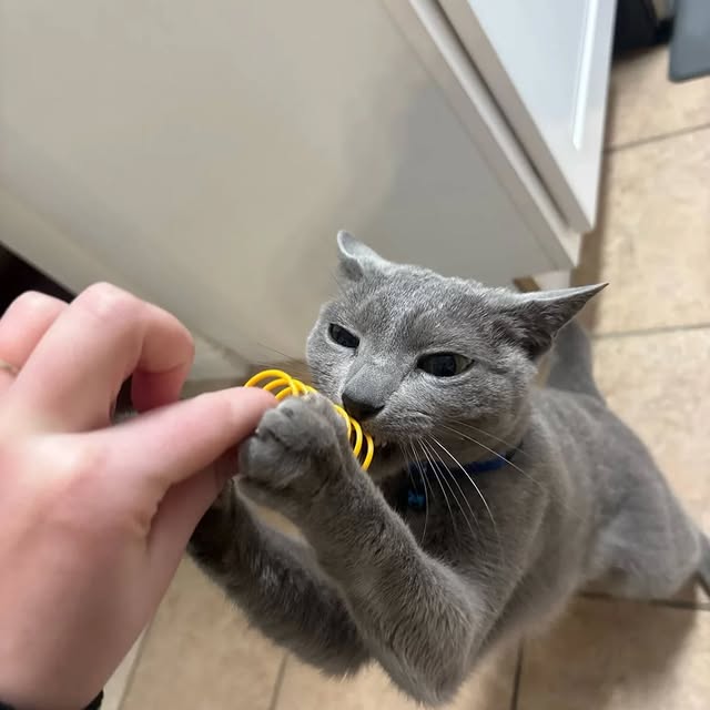  ......n_boris   'recent posts' 